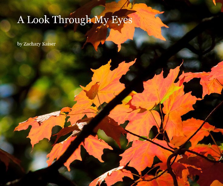 View A Look Through My Eyes by Zachary Kaiser