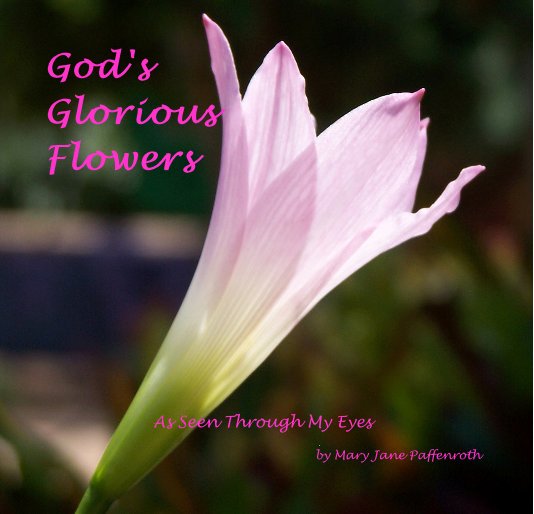View God's Glorious Flowers by Mary Jane Paffenroth