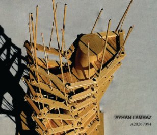 ayhan book cover