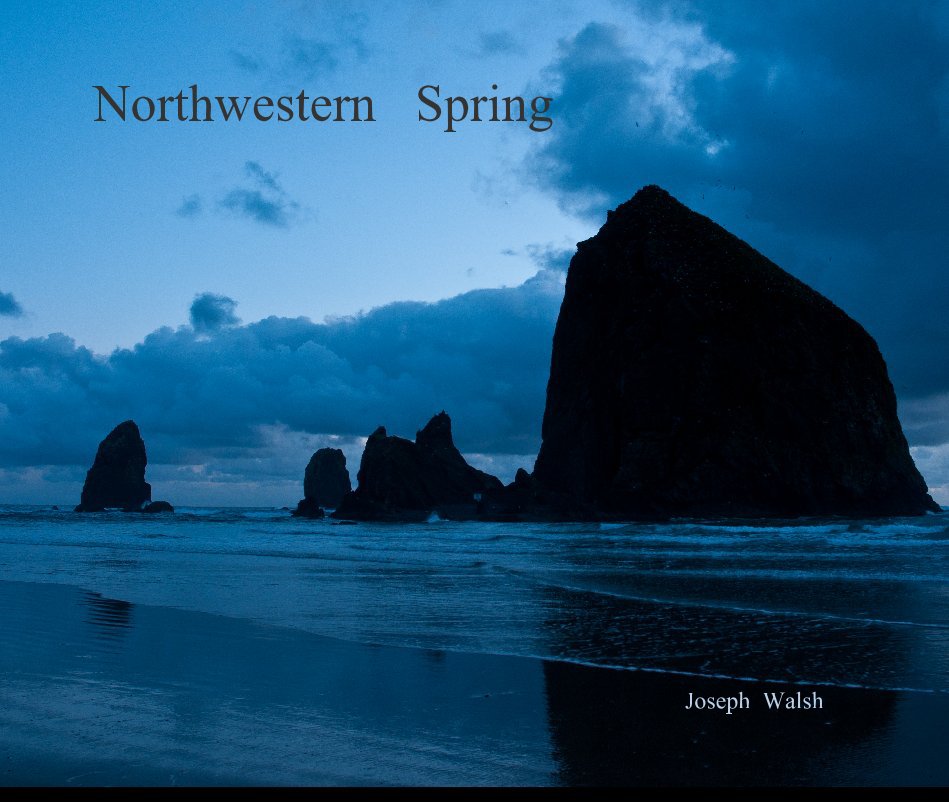View Northwestern Spring by Joseph Walsh
