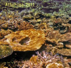 Athuruga 2011 book cover