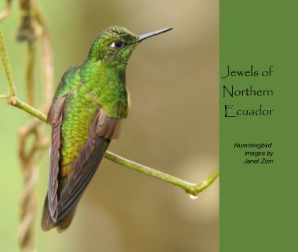 Jewels of Northern Ecuador book cover