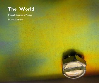 The World book cover