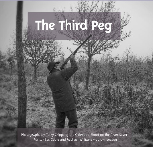 View The Third Peg by Terry Cripps