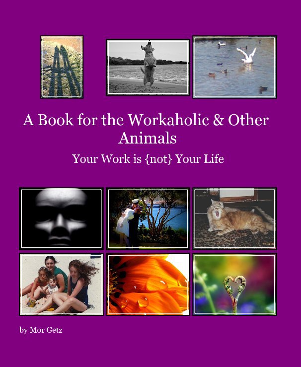 View A Book for the Workaholic & Other Animals by Mor Getz