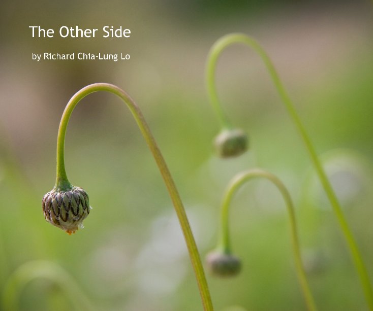 The Other Side nach Richard Chia-Lung Lo anzeigen