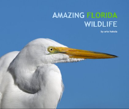 Amazing Florida Wildlife book cover