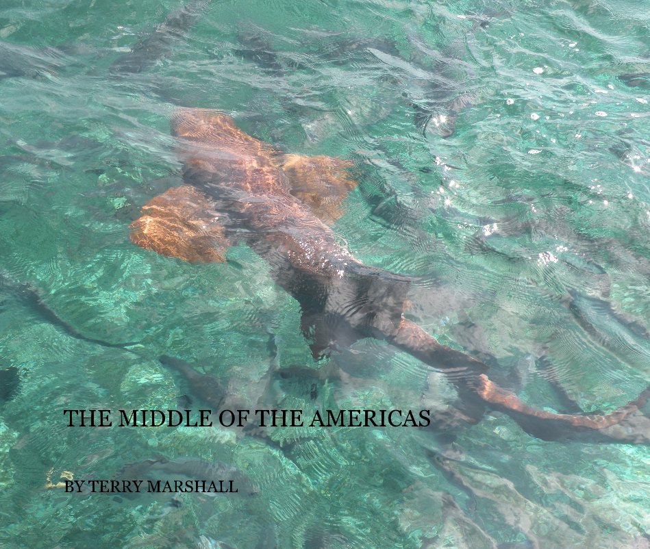 View THE MIDDLE OF THE AMERICAS by TERRY MARSHALL