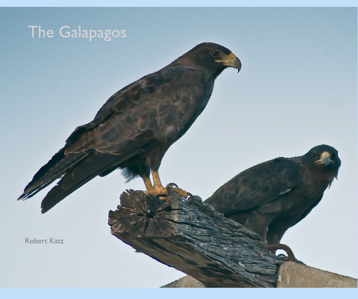 View The Galapagos by Robert Katz