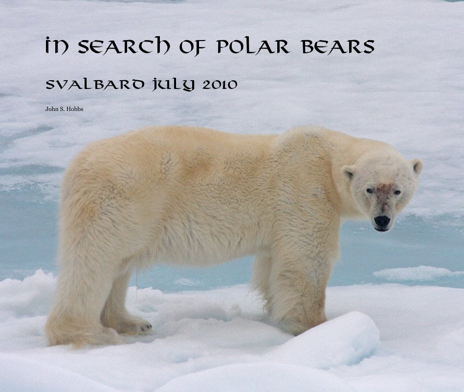 View In Search of Polar Bears Svalbard July 2010 by John S. Hobbs
