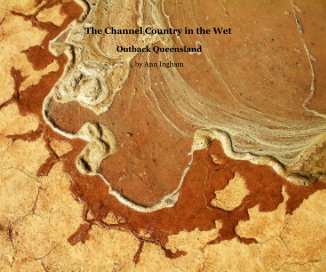 The Channel Country in the Wet book cover