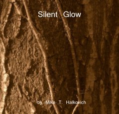 Silent Glow book cover