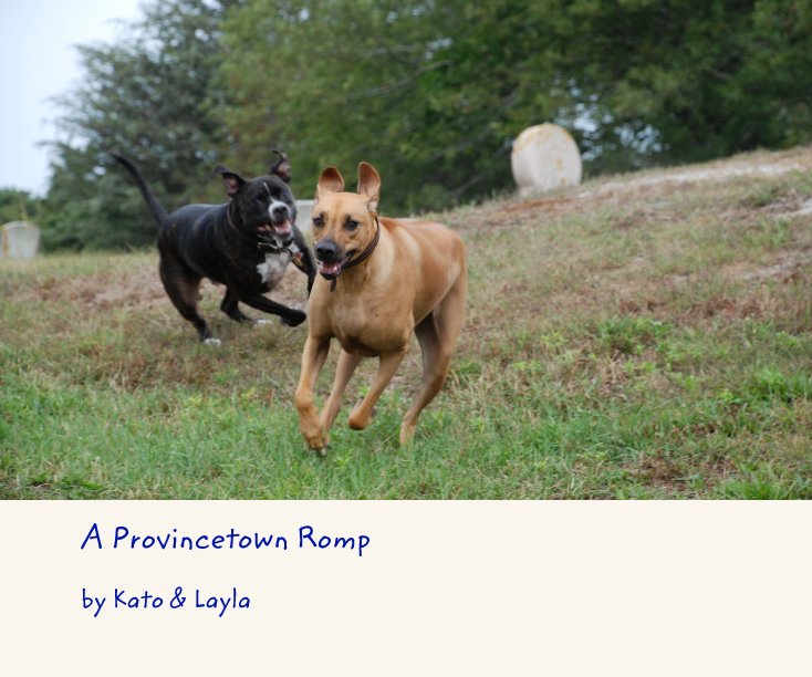 View A Provincetown Romp by Kato & Layla