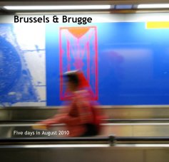 Brussels & Brugge book cover