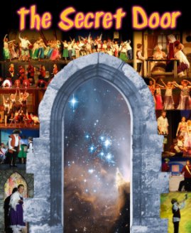The Secret Door book cover