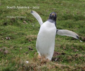 South America - 2011 book cover