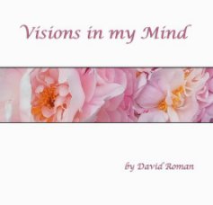 Visions in my Mind book cover