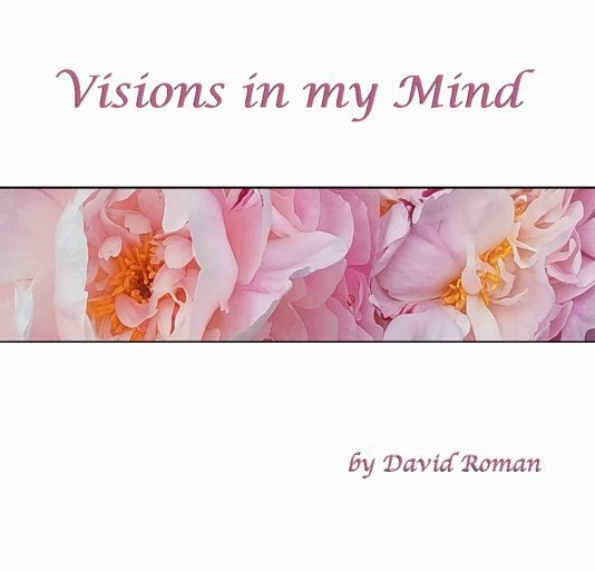 View Visions in my Mind by David Roman