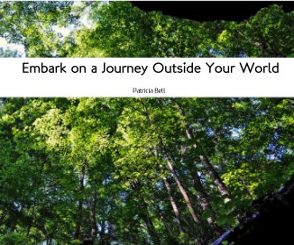 Embark on a Journey Outside Your World book cover