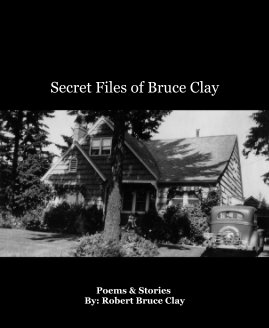 Secret Files of Bruce Clay book cover