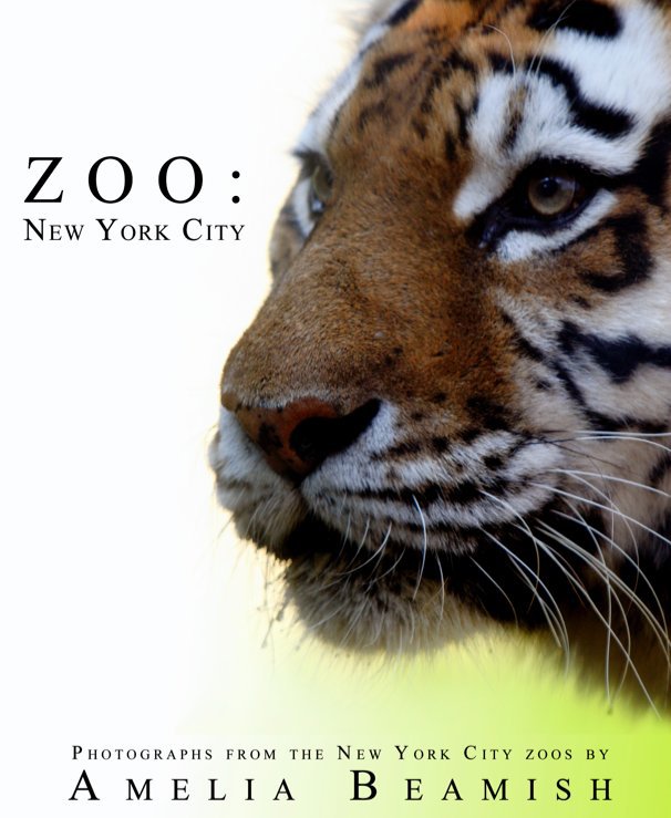 View Zoo: New York City by Amelia Beamish