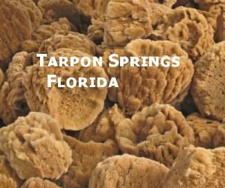 Tarpon Springs Florida book cover