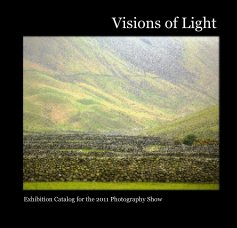 Visions of Light book cover