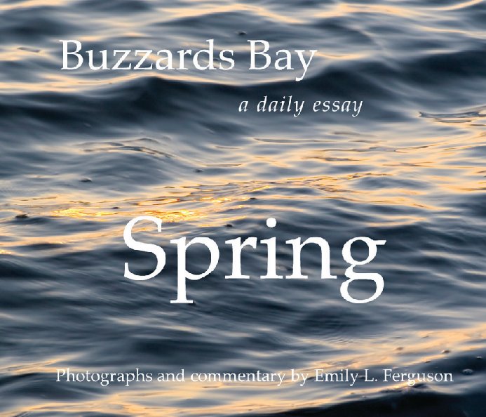 View Buzzards Bay Spring by Emily L. Ferguson