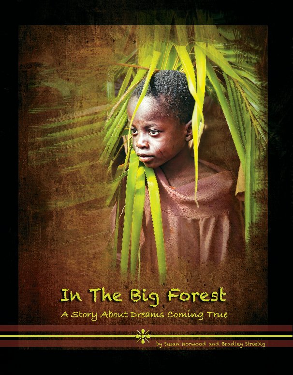 View In The Big Forest - Hardcover by S. Norwood and B. Striebig