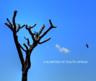 5 GLIMPSES OF SOUTH AFRICA book cover