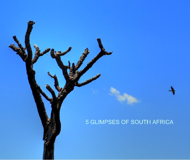 Visualizza 5 GLIMPSES OF SOUTH AFRICA di Maciek Bernatt