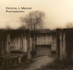 Crystal L Medler Photography book cover
