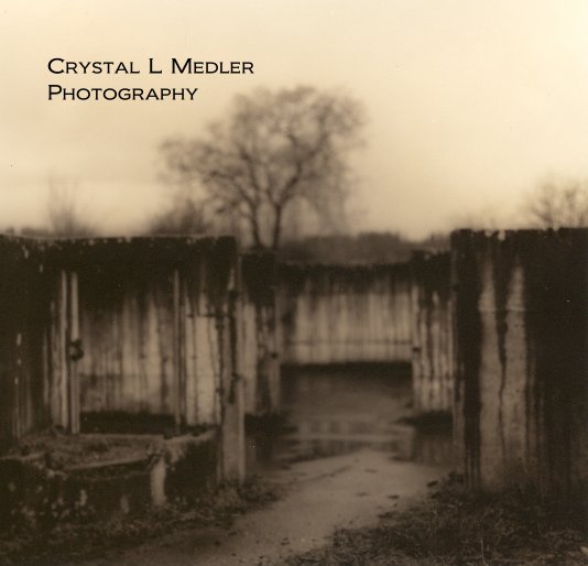 View Crystal L Medler Photography by Crystal L Medler