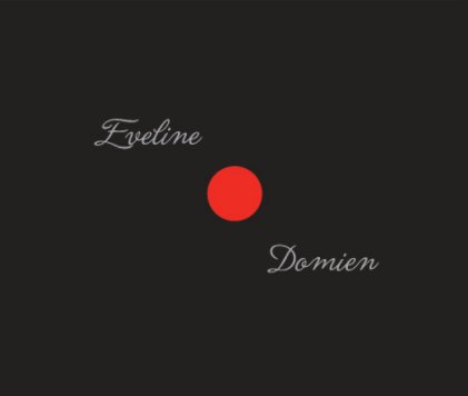 Eveline & Domien book cover