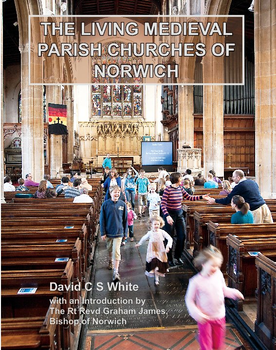 View Living Medieval Parish Churches of Norwich by David C S White