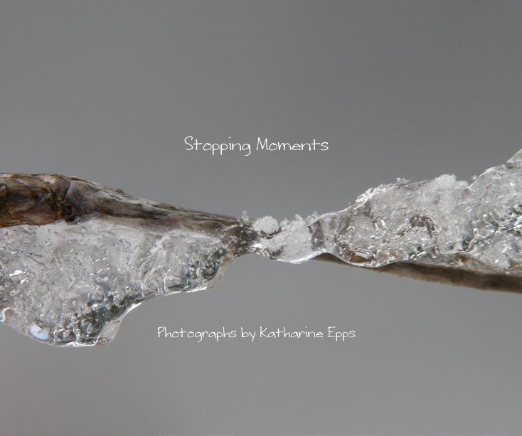 View Stopping Moments by Katharine Epps