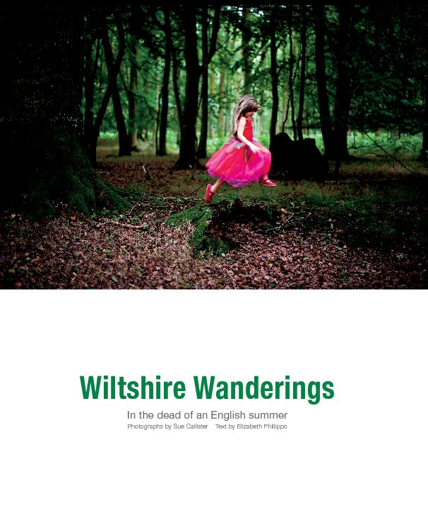 View Wiltshire Wanderings by Sue Callister