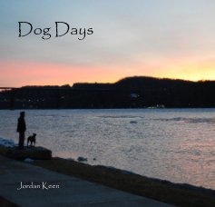 Dog Days book cover