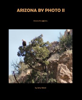 ARIZONA BY PHOTO II book cover