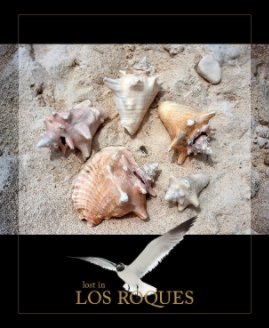Lost in Los Roques book cover