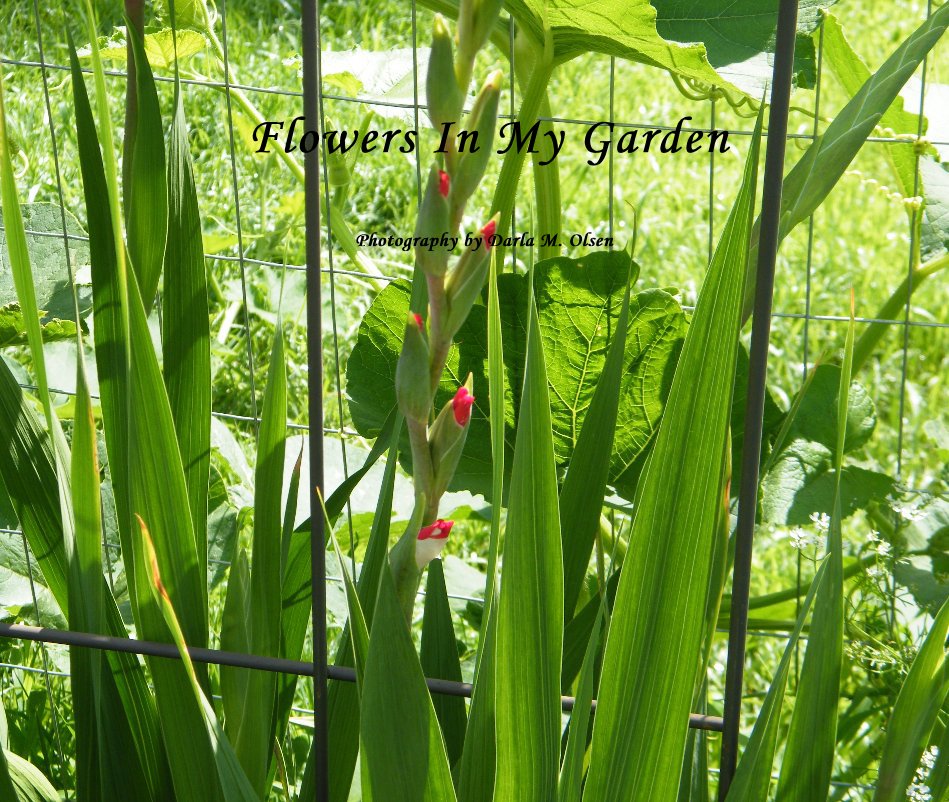 Ver Flowers In My Garden por Photography by Darla M. Olsen