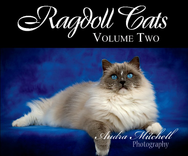 Ragdoll Cats by Audra Mitchell | Blurb Books