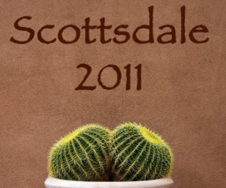 Scottsdale 2011 book cover