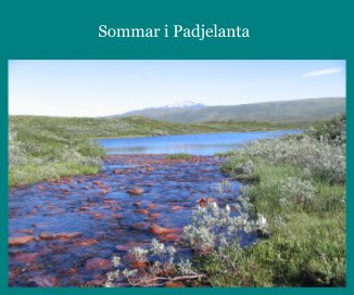 Sommar i Padjelanta book cover