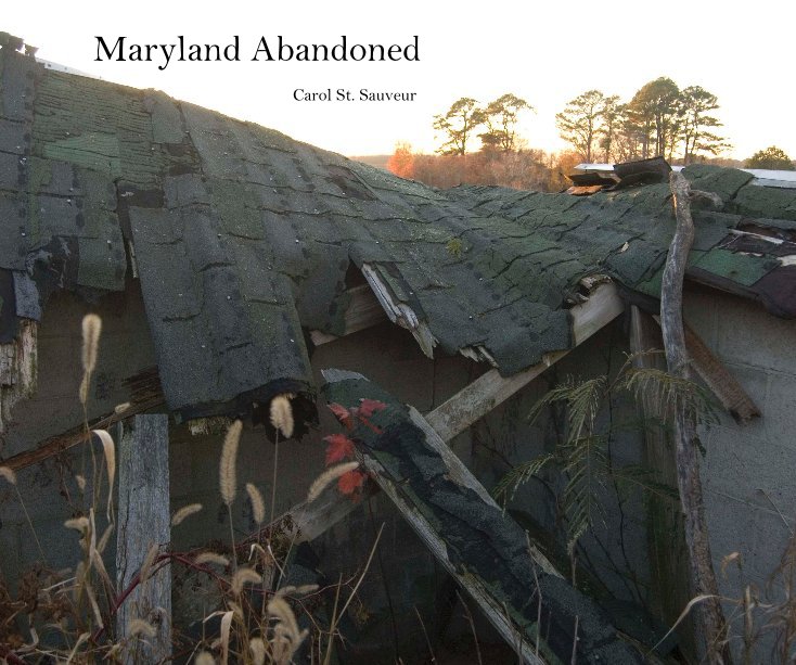 View Maryland Abandoned by Carol St. Sauveur
