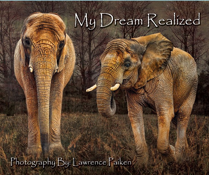 View My Dream Realized by Lawrence Paiken