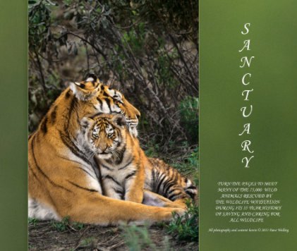 Sanctuary Large Format Coffee Table book book cover