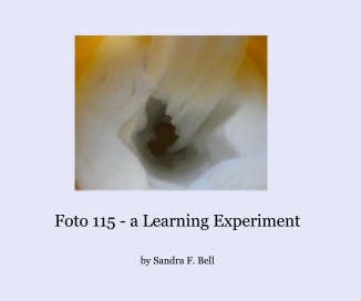 Foto 115 - a Learning Experiment book cover