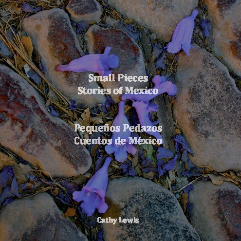 View Small Pieces  Stories of Mexico by Cathy Lewis