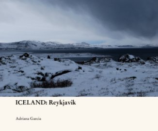 ICELAND: Reykjavik book cover